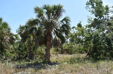 Double Waterfront Canal Homesite