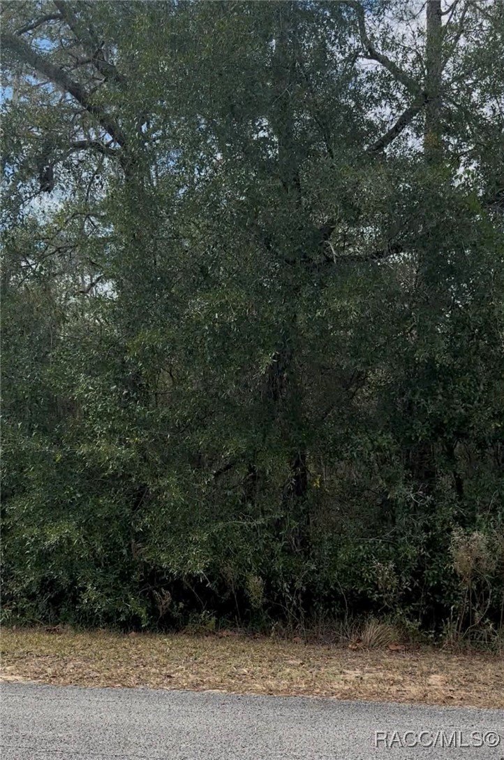 Rainbow Lakes Estates Land