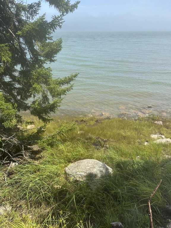 Picture 6