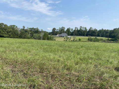 Land, Perkinston, MS