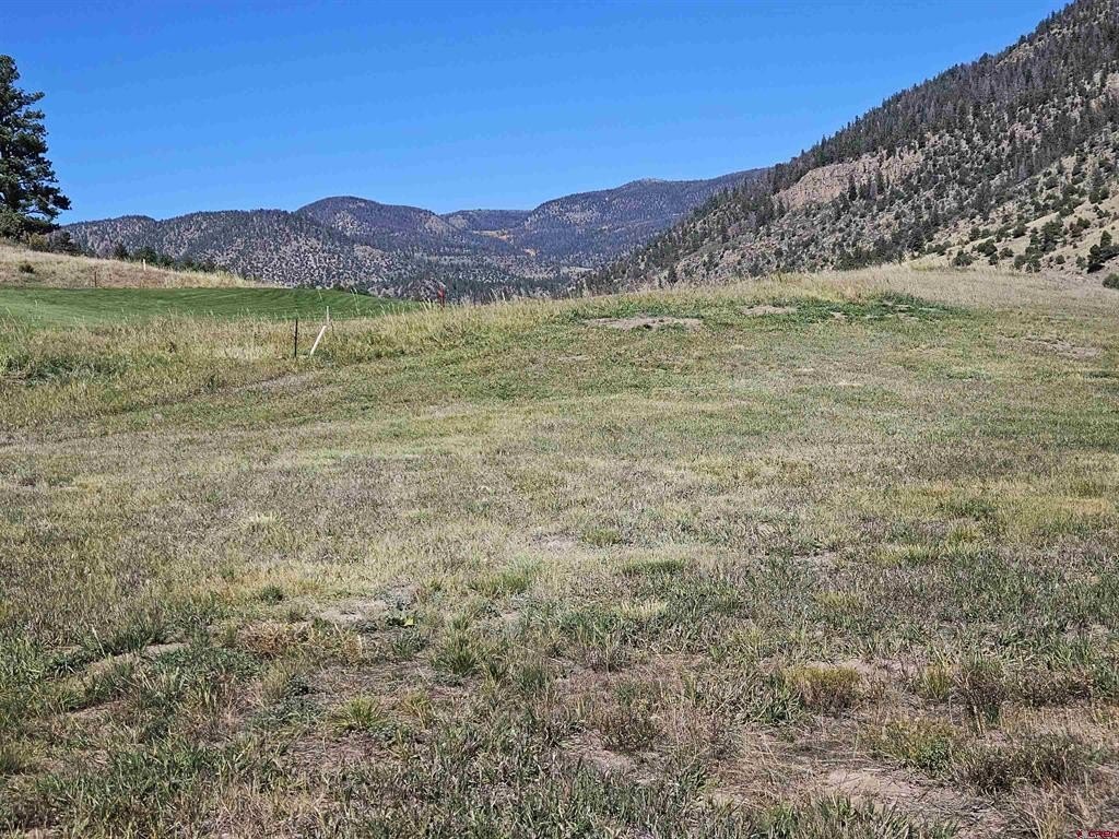 Picture 9