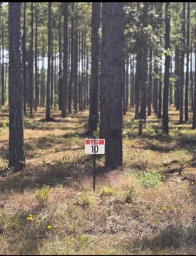 Semi-Restricted Residential Lot