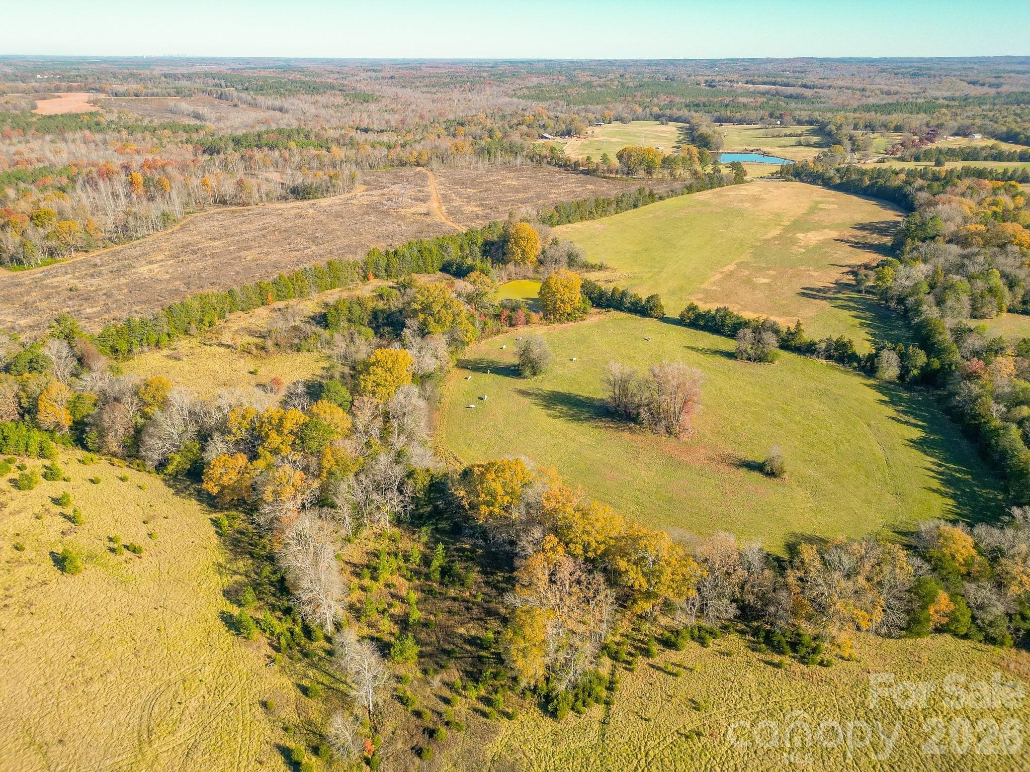 Lancaster County Acreage with Development Potential