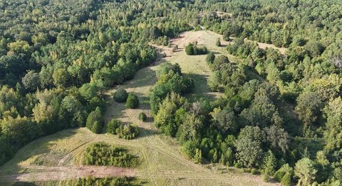 Lafayette County Land Parcel
