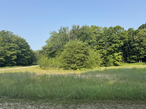 LAND - McMillan, MI