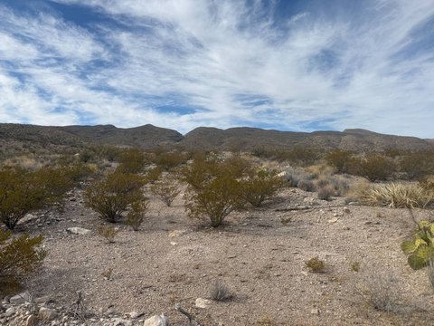 Desert Land Tract