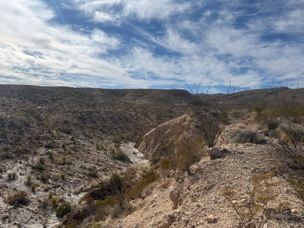 Picture 38