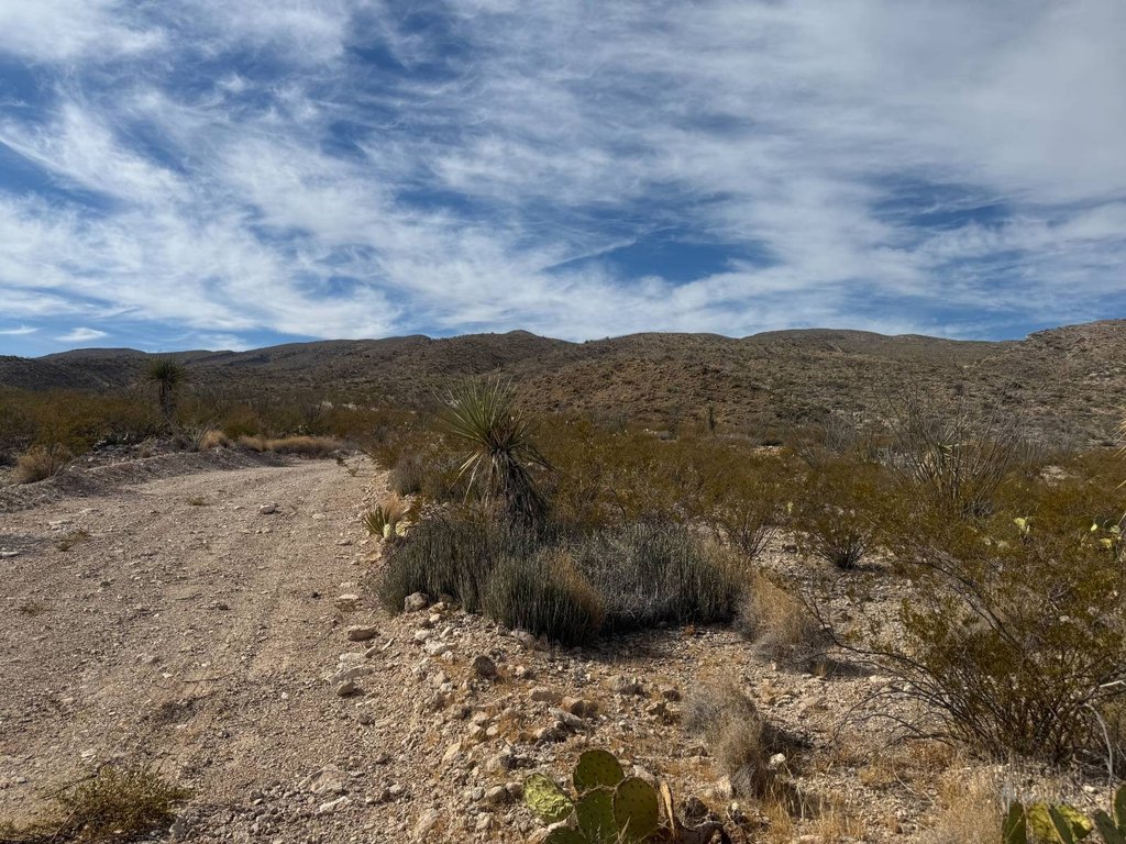 Picture 30