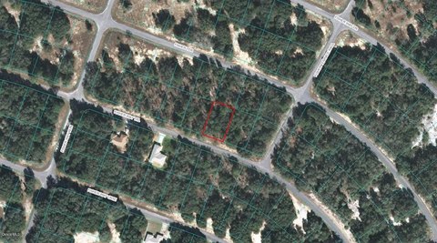 Land For Sale Ocklawaha, FL