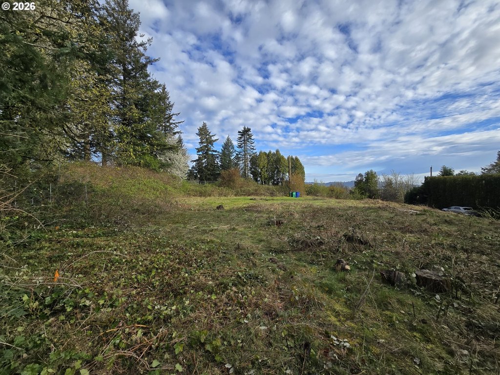 Picture 25
