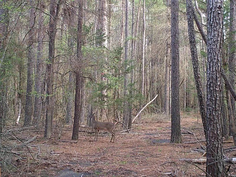 Picture 9