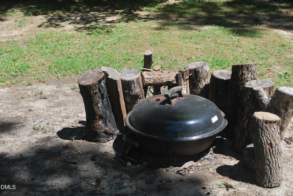 Picture 19