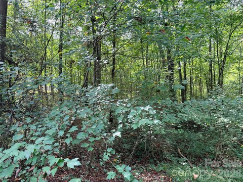 Land, Salisbury, NC