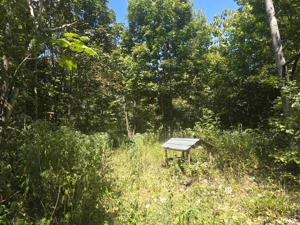 Picture 44