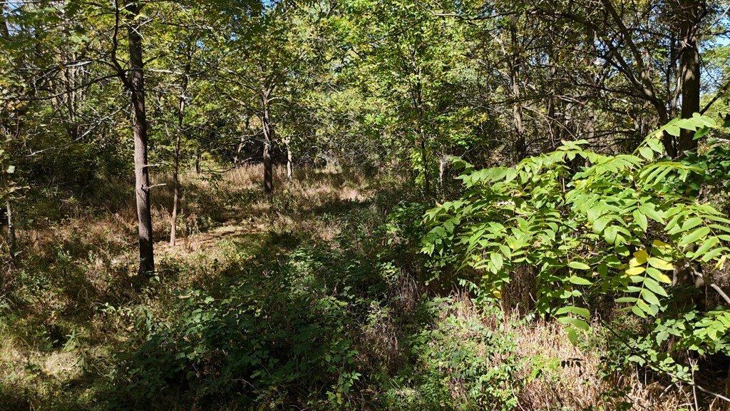 Picture 21