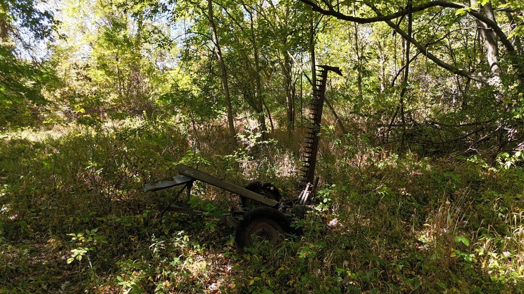 Picture 20