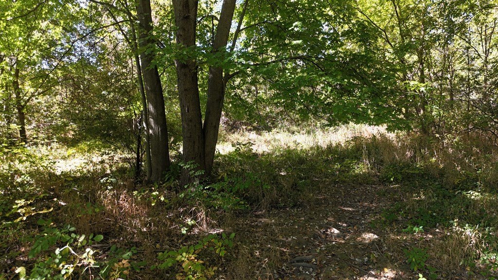 Picture 19