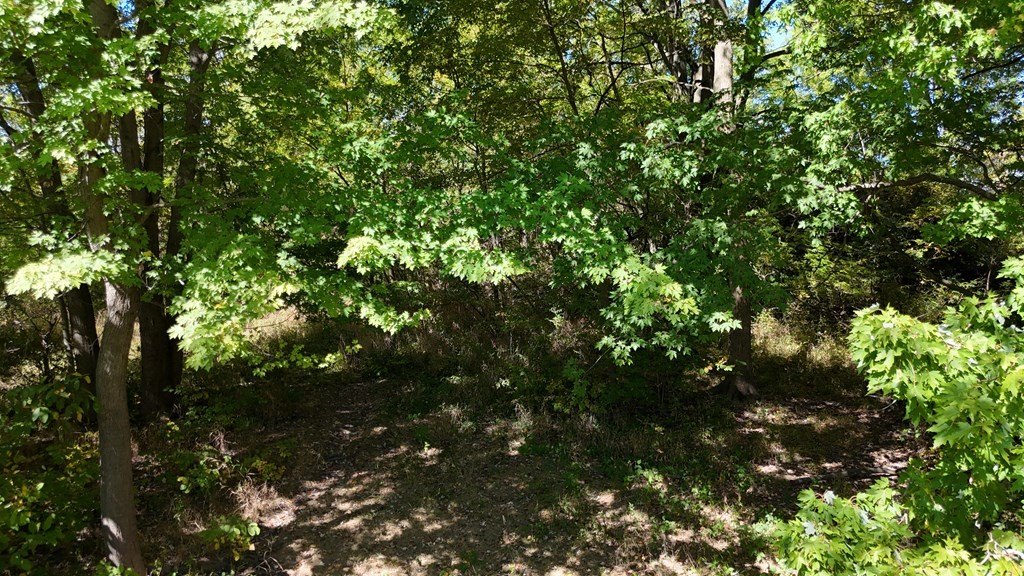Picture 15
