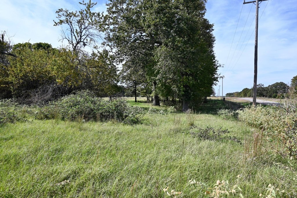 Picture 4