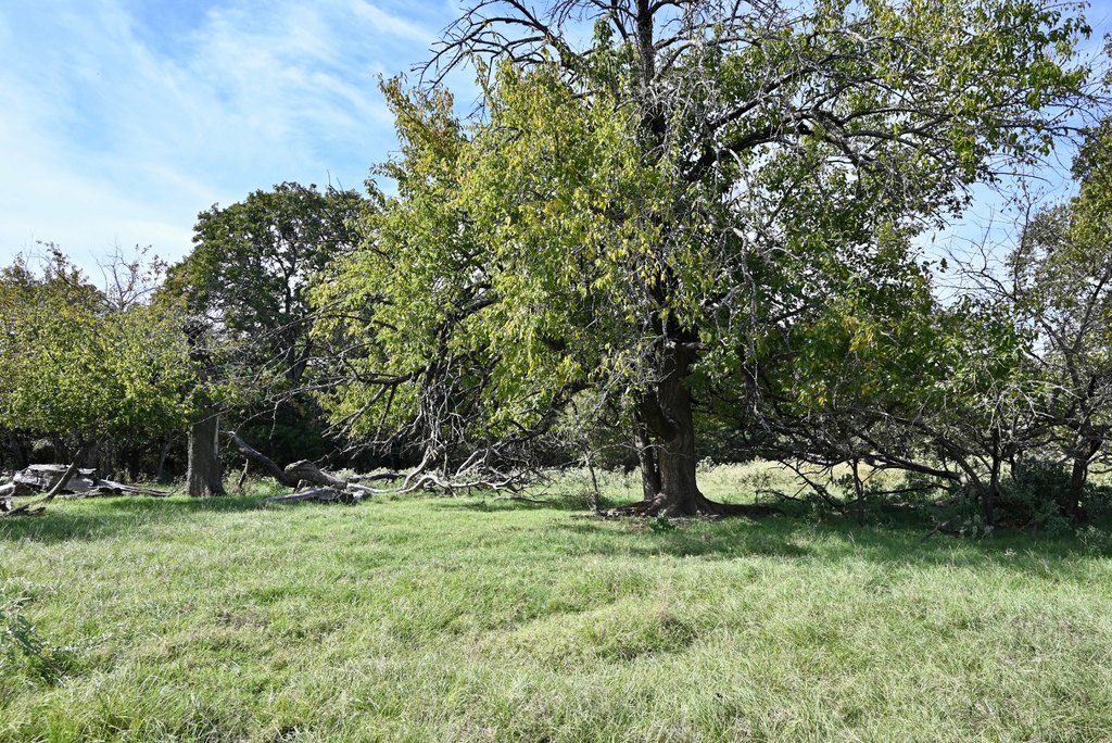 Picture 9
