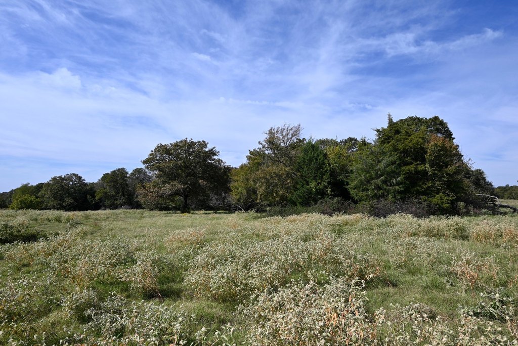 Picture 12