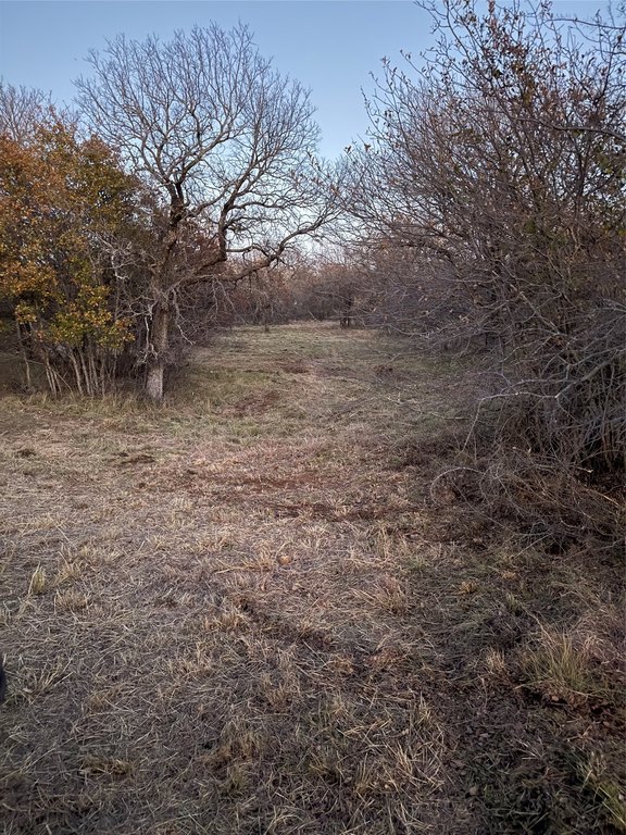 Picture 13