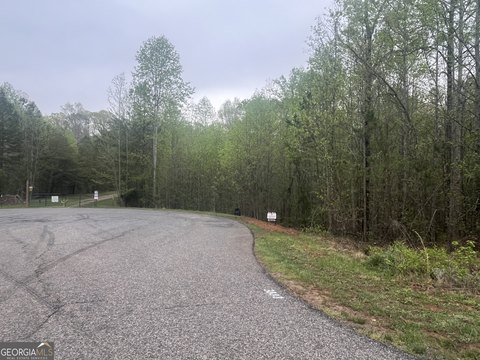 Gainesville Land with Reservoir Access