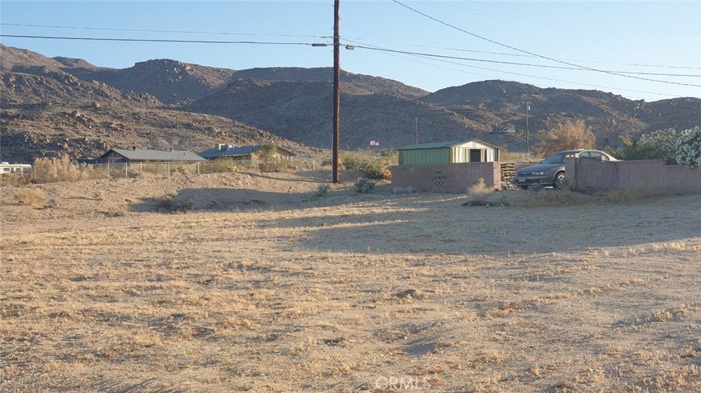 Picture 3