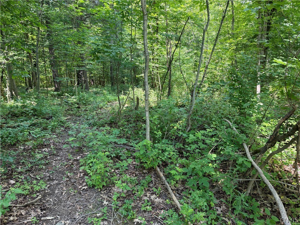 Picture 5