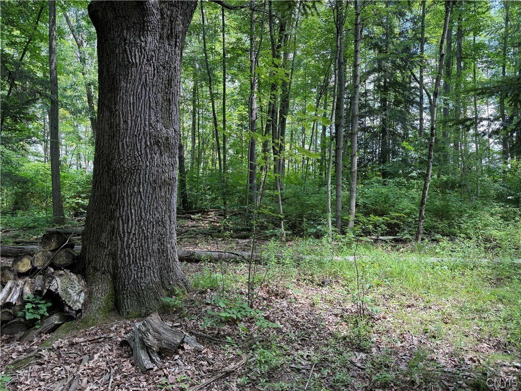 Picture 11