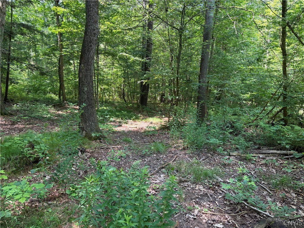 Picture 6