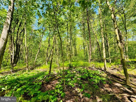 Land Near Trough Creek Park