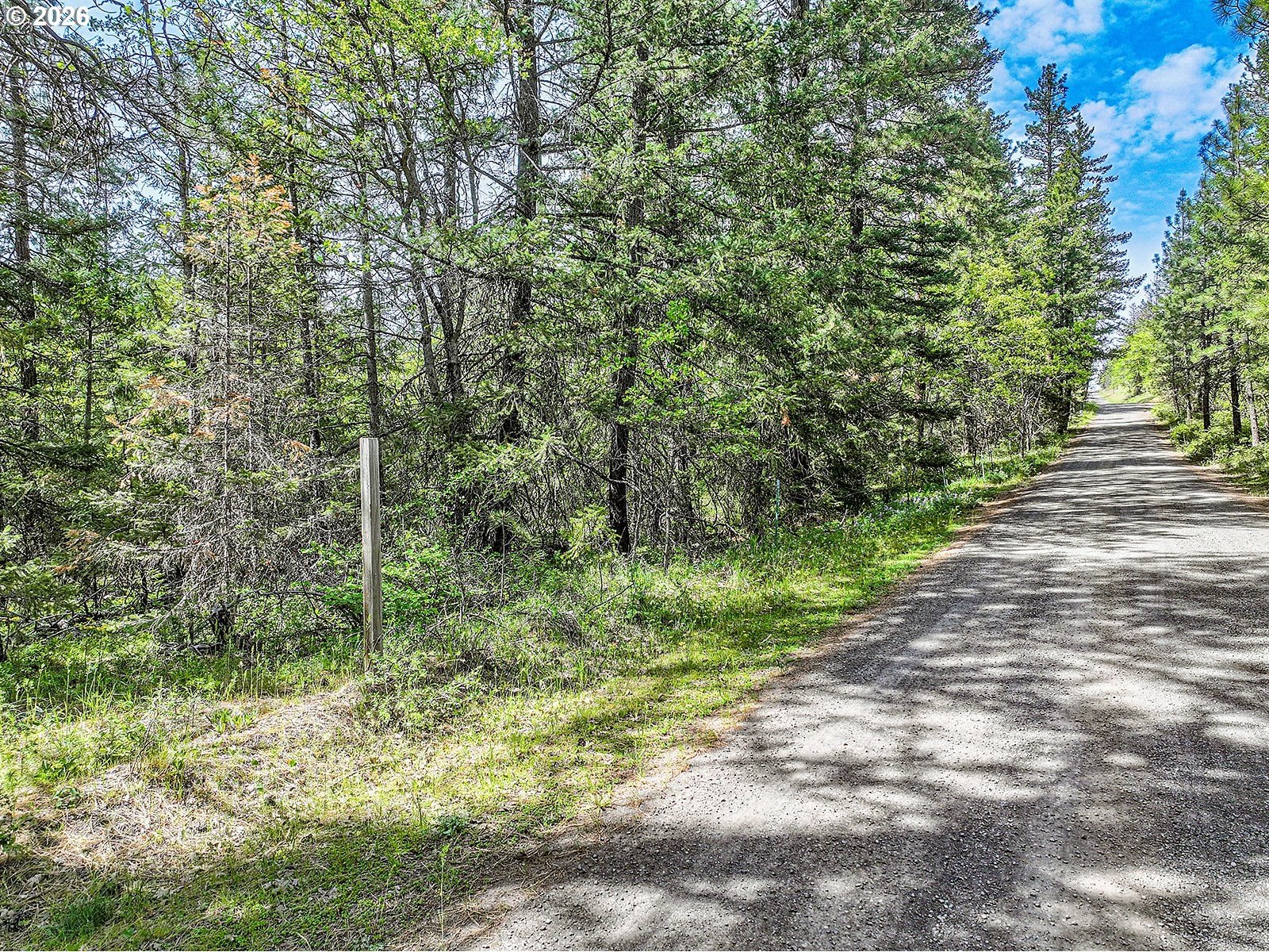 Forested Land in Rural Goldendale