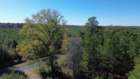 142 Acres Recreational Hunting Land