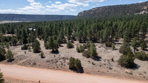Wooded Mountain Recreation Land