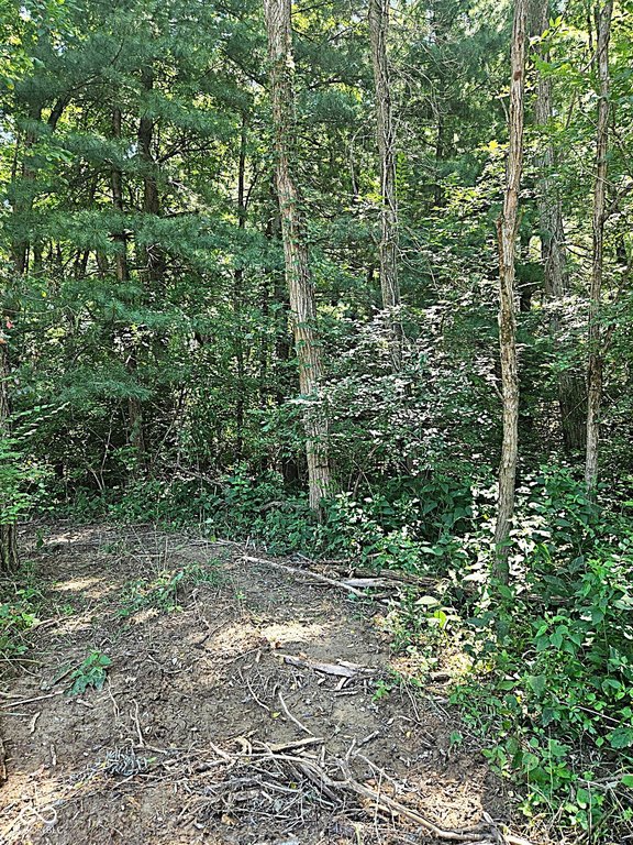 Picture 2