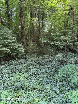 LAND - Knoxville, TN