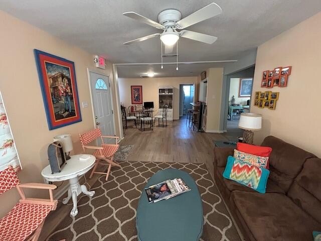 Picture 16