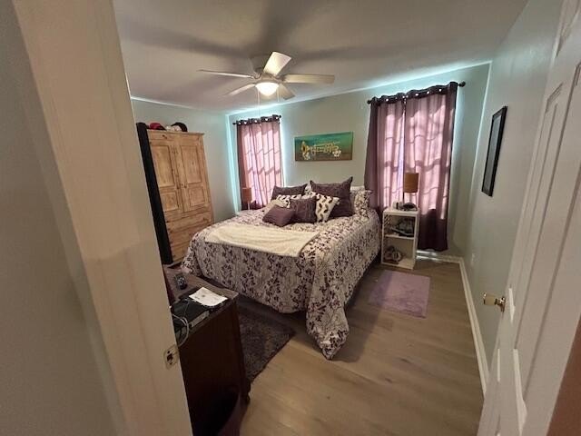 Picture 17