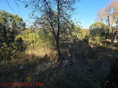 Picture 4