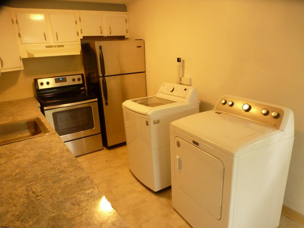 Picture 8