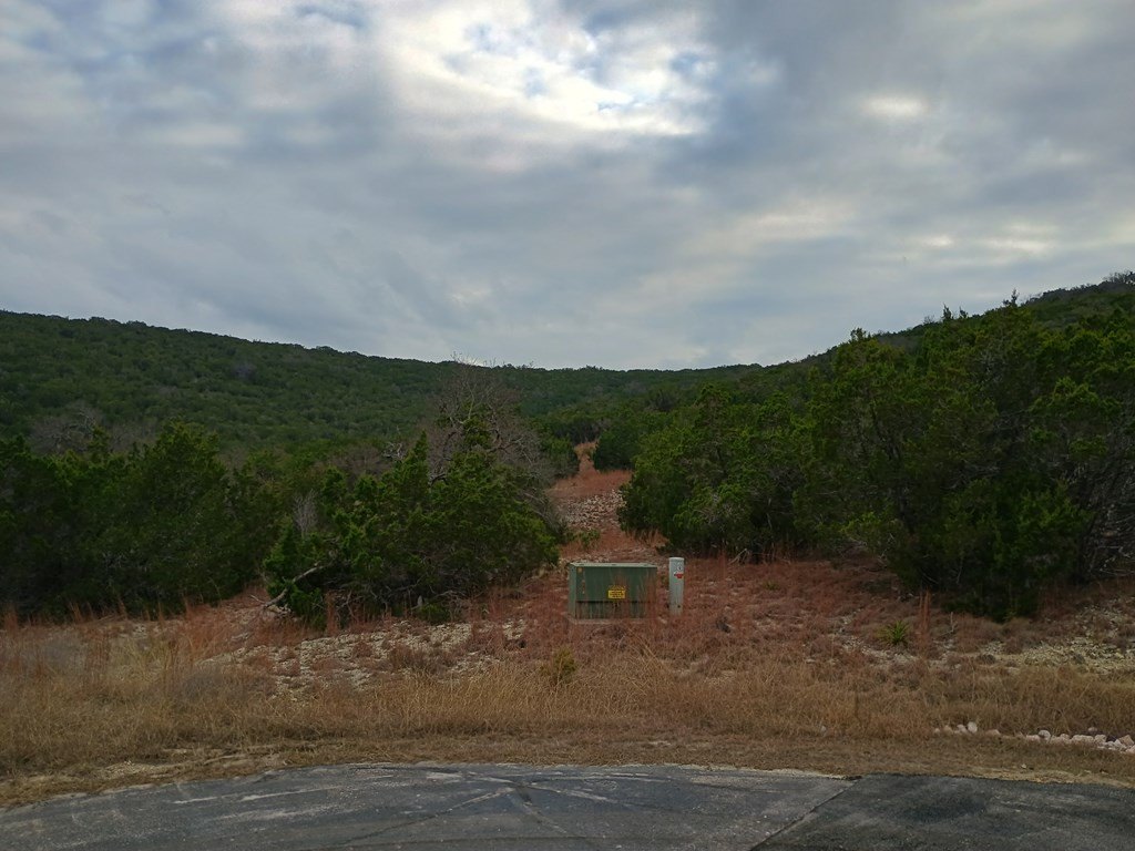 Picture 12