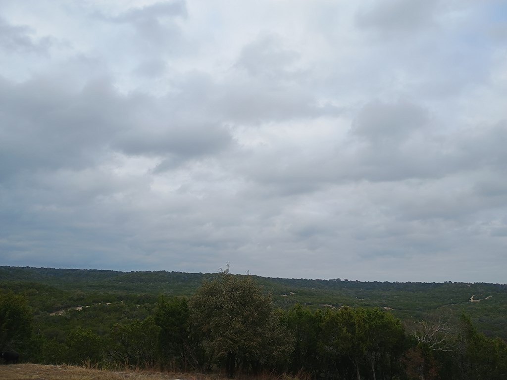 Picture 22