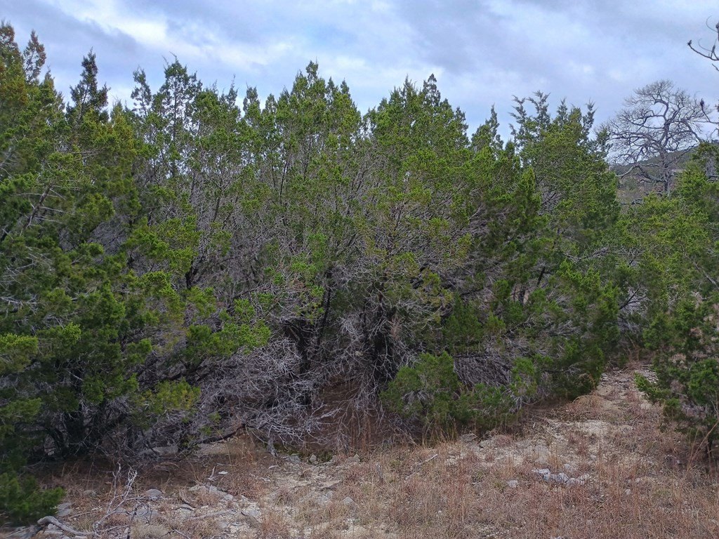 Picture 16