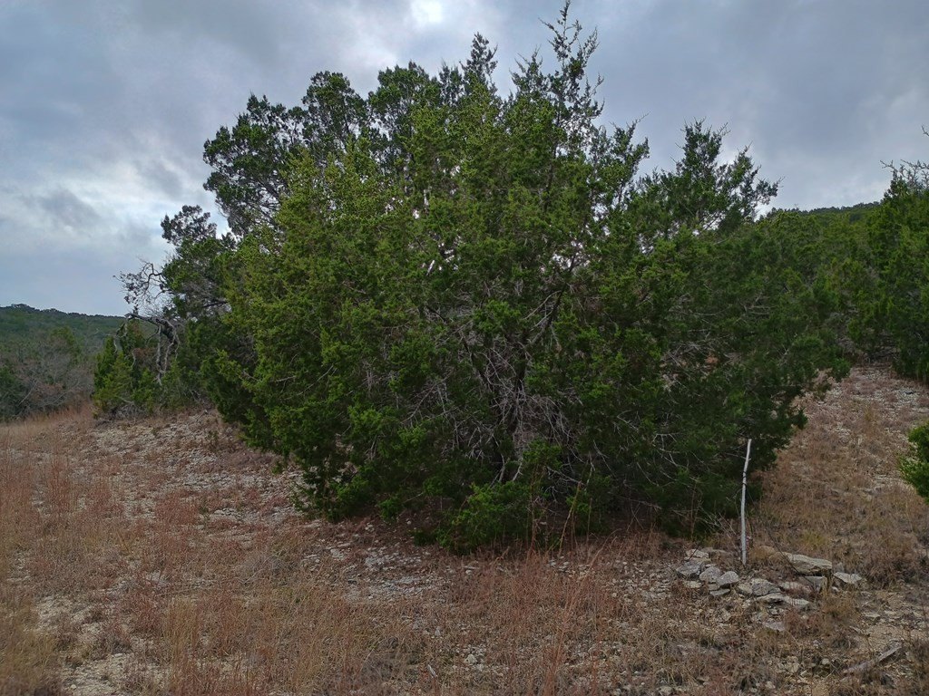 Picture 14