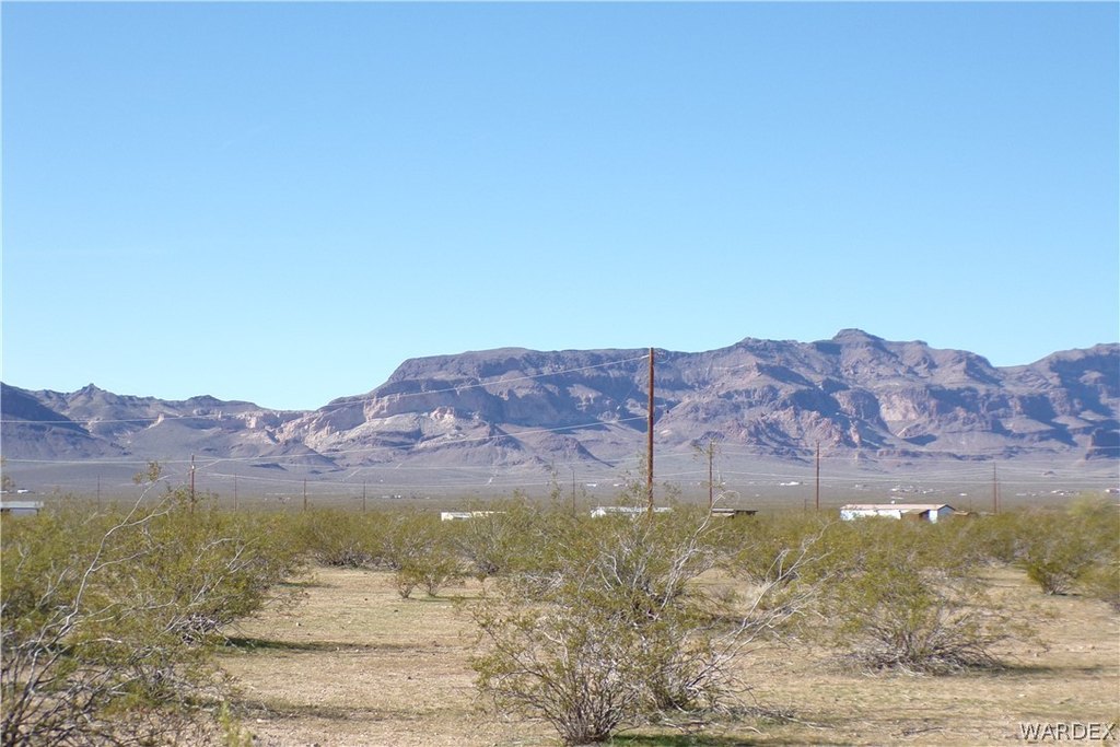 Picture 29