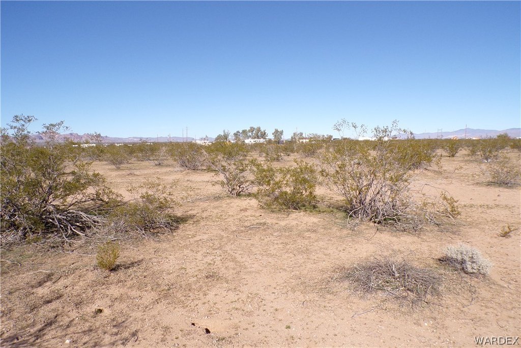 Picture 23
