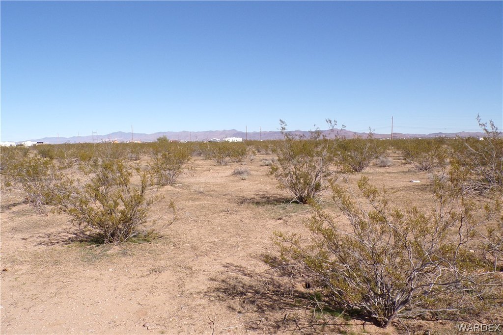 Picture 35