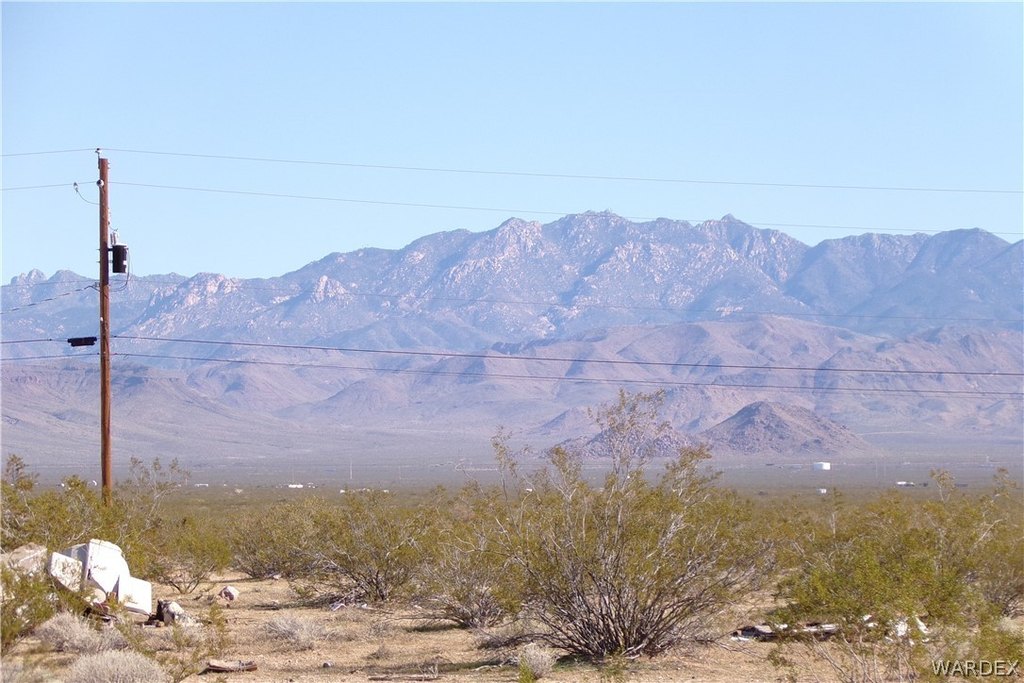Picture 31