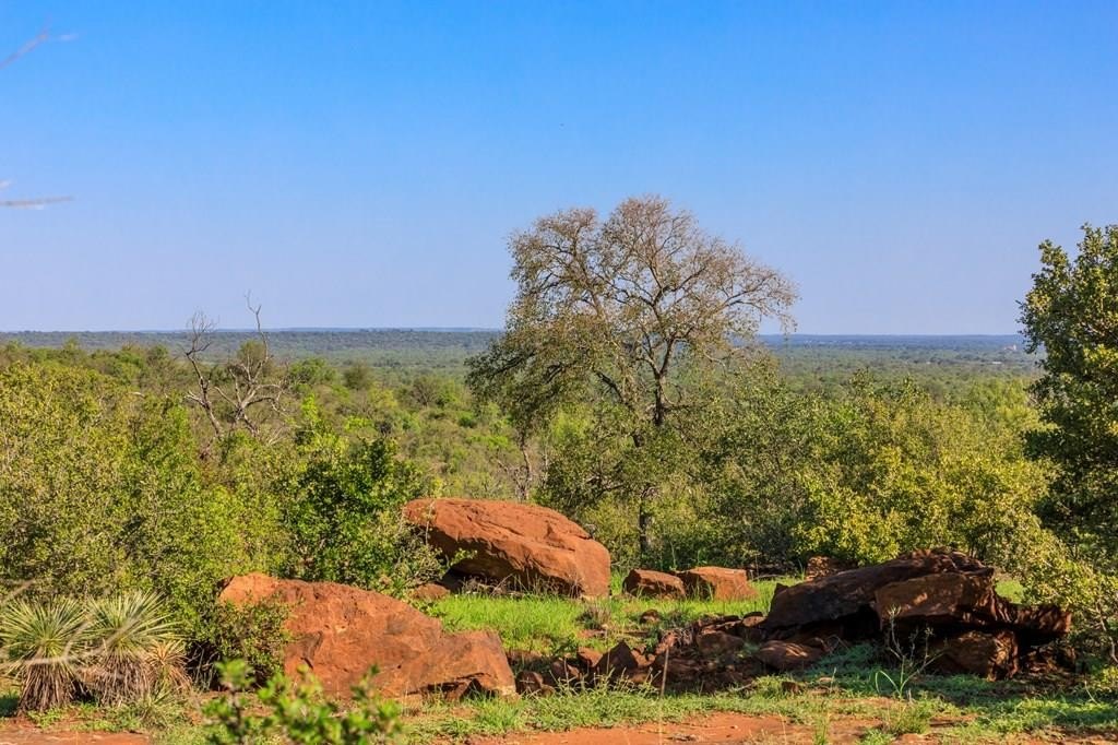 Texas Hill Country Land Parcel